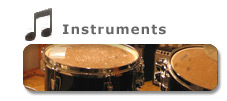 Professional Music Instruments for Professional Studio Recording | Steinway, Fender Rhodes, Hammond, Roland, Moog, Ludwig...